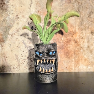 May include: A black, textured planter with a monster face design, featuring blue eyes and sharp teeth, holds a Venus flytrap plant with green and red leaves. The planter sits on a black surface against a textured wall.
