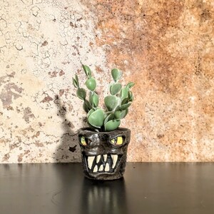 May include: A small, dark gray ceramic planter with a monster face design, featuring yellow eyes and white teeth. The planter holds a green succulent plant. The background is a textured, brown and beige wall.