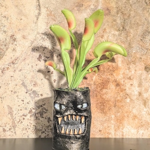 May include: A black, textured planter with a monster face design, holding a Venus flytrap plant. The plant has green leaves with red edges. The planter has blue eyes and sharp teeth.