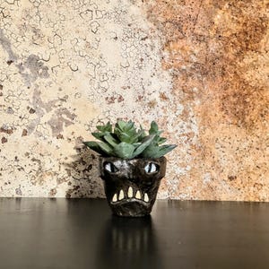May include: A small, dark gray ceramic planter with a monster face design, featuring white teeth and eyes, holds a green succulent plant. The planter sits on a black surface against a textured, beige and brown background.
