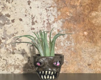 Mini Monster Pot #199 - Faux Succulent Plant