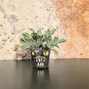 May include: A small, dark gray ceramic planter with a monster face design, featuring yellow eyes and sharp white teeth. The planter holds a green leafy plant. The background is a textured, mottled brown and tan wall.