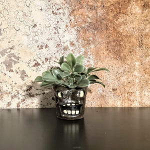 May include: A small, dark gray ceramic planter with a monster face design, filled with green leafy plants. The planter has a wide, toothy grin and glowing yellow eyes. The background is a textured, mottled brown and beige.