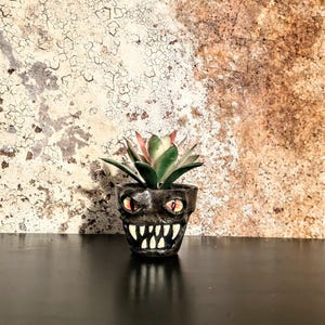 May include: A small, dark gray ceramic planter with a monster face design, featuring glowing orange eyes and sharp white teeth. The planter holds a succulent with green, pink, and white leaves. The background is a textured, mottled wall.