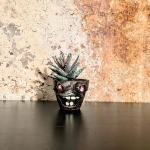 May include: A small, dark-colored ceramic planter with a grinning face design, featuring red eyes and white teeth, holds a succulent plant with blue-green leaves. The planter sits on a black surface against a textured, mottled brown and beige background.