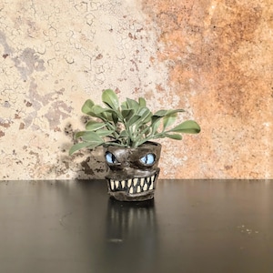 May include: A small, dark gray ceramic planter with a monster face design, featuring blue eyes and sharp white teeth. The planter holds a small green plant with rounded leaves. The background is a textured, mottled brown and beige.