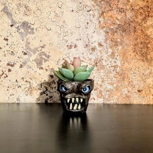 May include: A small, black ceramic planter with a monster face design, featuring blue eyes and sharp white teeth. The planter holds a succulent with green and pink leaves. The background is a textured, brown wall.