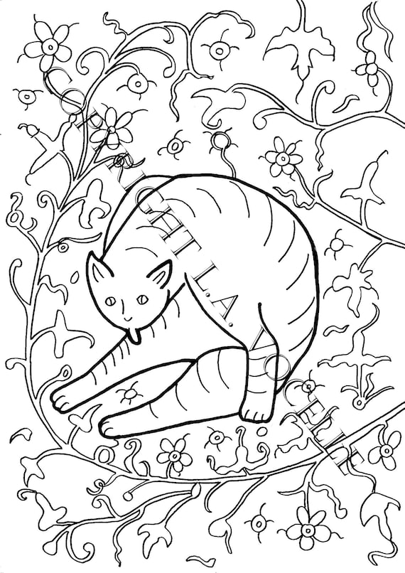 8800 Coloring Book Pages Cat Picture HD