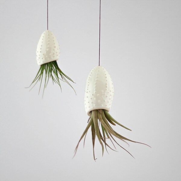 SALES-50% discount-Set of 2 ceramic hanging planter in a shape of squid/ air planter/ succulent planter/ flower pot/ white wall planter