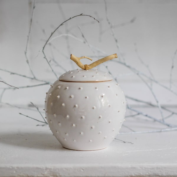 Free shipping- Beautiful handmade lidded jar with twig handle/ spiky ceramic jar/ lidded jar/ ceramic container/ lidded vessel