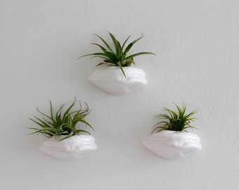 set of 3 polypore wall planters/ wall planters/ natural inspired planters/ white/ air planter/ hanging planter/ succulent planter