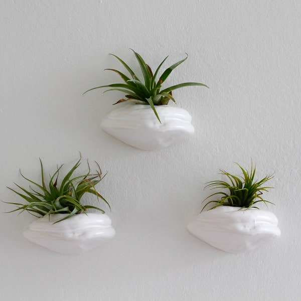 Free shipping- set of 3 polypore wall planters/ tillandsia planters/ white/ air planter/ hanging planter/ succulent planter