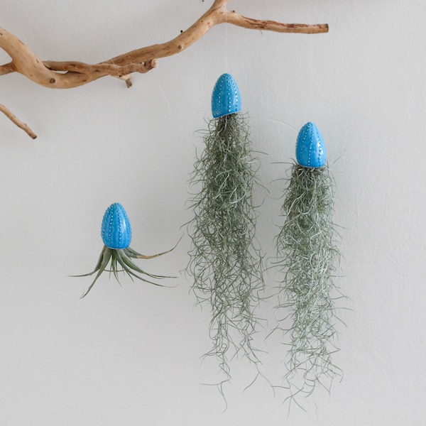 Set of 3 ceramic hanging planters in a shape of sea urchin/ air planter/ succulent planter/ flower pot/ blue turquoise/ hanging planter