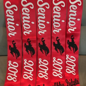 SENIOR sash ONLY any color