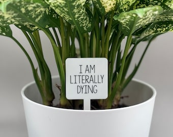 Peut inclure: Un pot de plante blanc avec une plante verte et blanche à l'intérieur. Un panneau blanc avec du texte noir indique "I AM LITERALLY DYING".