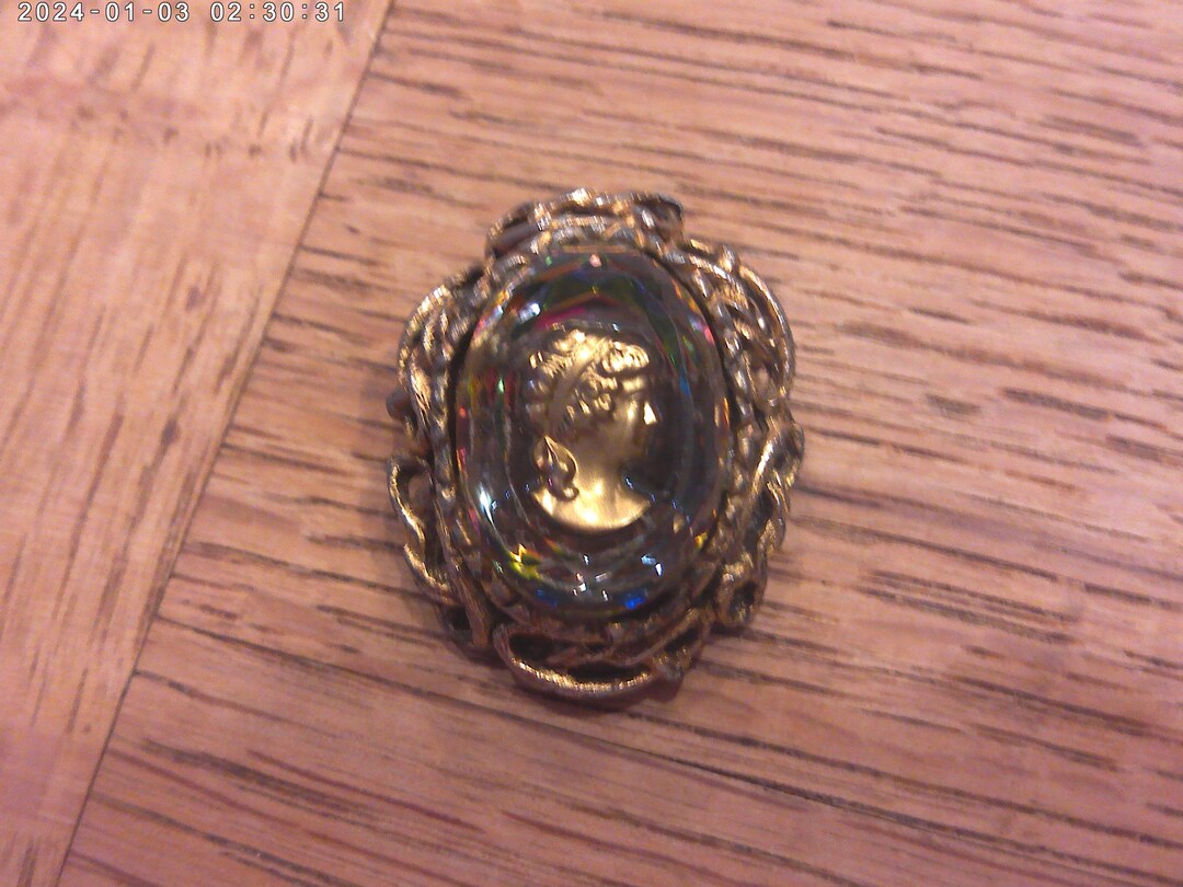 Cameo Reverse Glass Painted Cameo Gold Tone Metal Vintage Pin - Etsy