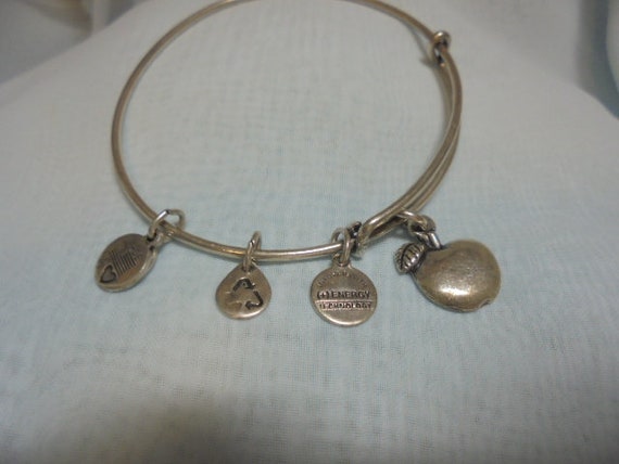 Alex and Ani Sterling Silver /Silver tone Charm  … - image 1