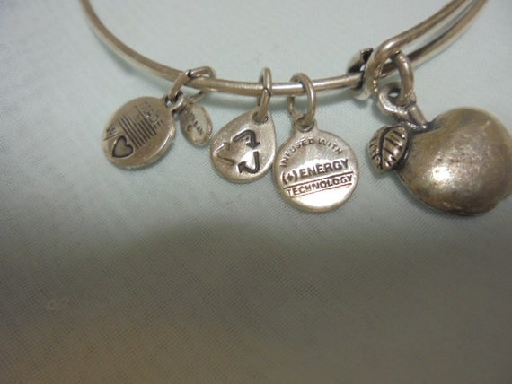 Alex and Ani Sterling Silver /Silver tone Charm  … - image 4