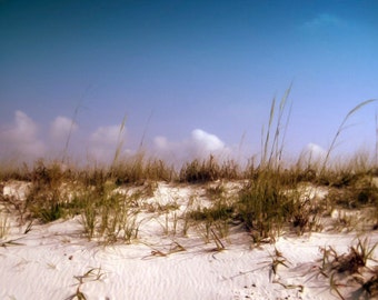 May include: A close-up of a sandy beach with tall green grasses growing in the sand. The sky is a bright blue with white clouds.