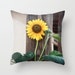 see more listings in the Pillow Covers/Totes section