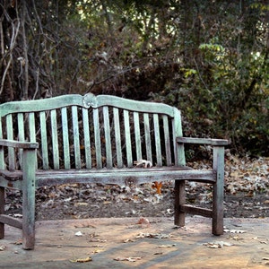 Landscape Photography Weathered Bench 8x12 8x10 5x7 11x14 16x20 16x24 20x30 Fine Art Photograph Park Bench, Fine Art Photograph image 1