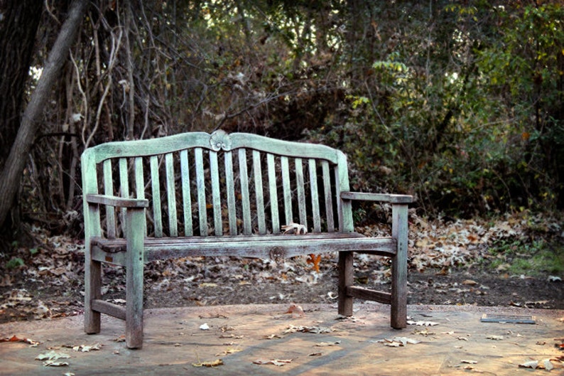 Landscape Photography Weathered Bench 8x12 8x10 5x7 11x14 16x20 16x24 20x30 Fine Art Photograph Park Bench, Fine Art Photograph image 1