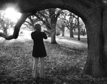 Black and White Photography - Enchanted 3 - 8x12 Fine Art Photograph, Trees, Portrait Photography, Winter, Leaves, Nature Photography