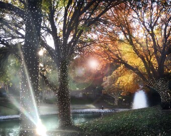 Photographie de paysage, fontaine Photo, Lens Flare Photo, Photo automne, arbres, feuilles, eau, Fine Art Photography, photographie automne, cadeau