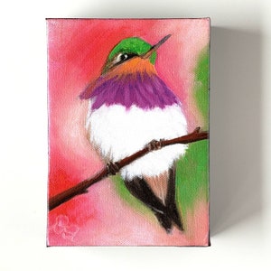 Small Hummingbird Painting Original Oil Painting of Hummingbird bird art wall art decor art