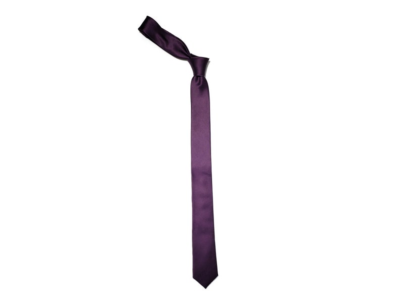 Silk Tie in Amethyst Vera Wang Eggplant Dark Purple 2 or 3 inch wide