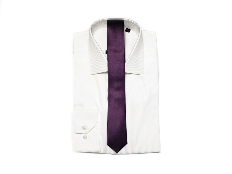 Silk Tie in Amethyst Vera Wang Eggplant Dark Purple 2 or 3 inch wide