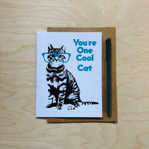 Cartão de gato engraçado, senhora gato, você é um gato legal
