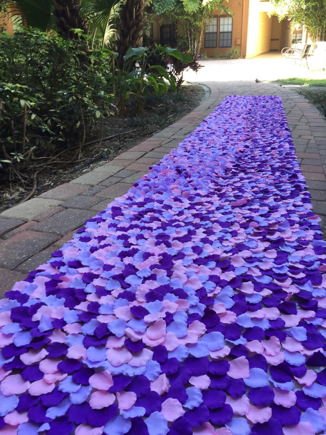 Aisle Runner in Purple Blush Pink & Lavender Rose Petals Etsy