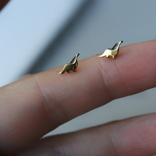 Wire Earrings Earth Cream Silver - Dinosaur Designs main image 1