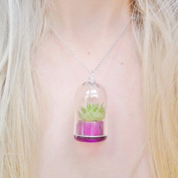 Living Cactus Succulent Wearable Plant Terrarium Colorful Rainbow Pendant Necklace Jewellery Jewelry