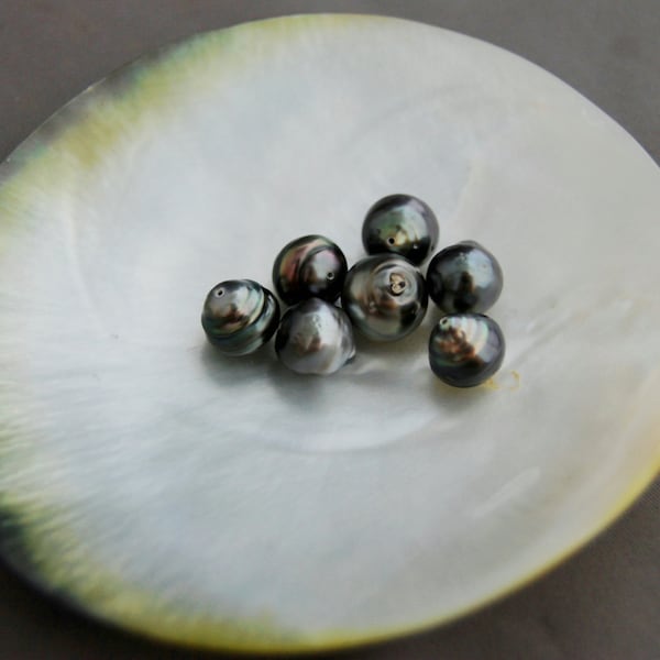 D186 - Loose Tahitian pearls, peacock pearls