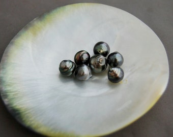 D186 - Loose Tahitian Pearls, Peacock Pearls