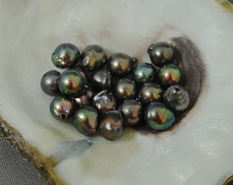 D225 - Loose Chocolate Akoya Pearls