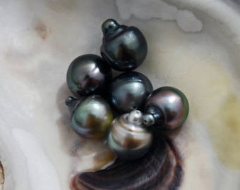 D306 - Loose Tahitian Peacock Pearls