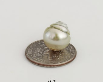 D420 - Loose Tahitian Pearls Drilled Through, High Luster with Vibrant Color.