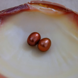 D286 - Loose Well Matched Freshwater Pearl Earring Pair