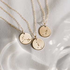 Custom Astrology Necklace, Zodiac Sign Pendant, Constellation Disk Necklace | 14k Gold Fill, Sterling Silver, Rose Gold | LN201