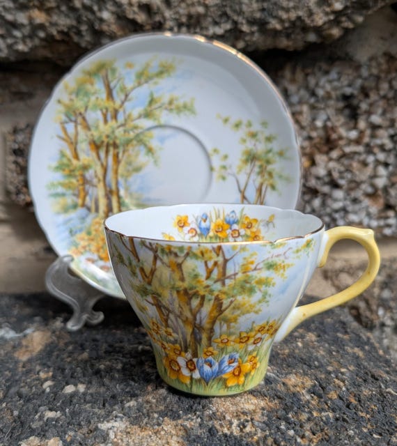 Shelley シェリー daffodil time ダフォディルタイム カップ＆ソーサー