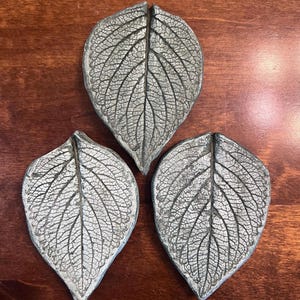 Coleus Leaf Decor