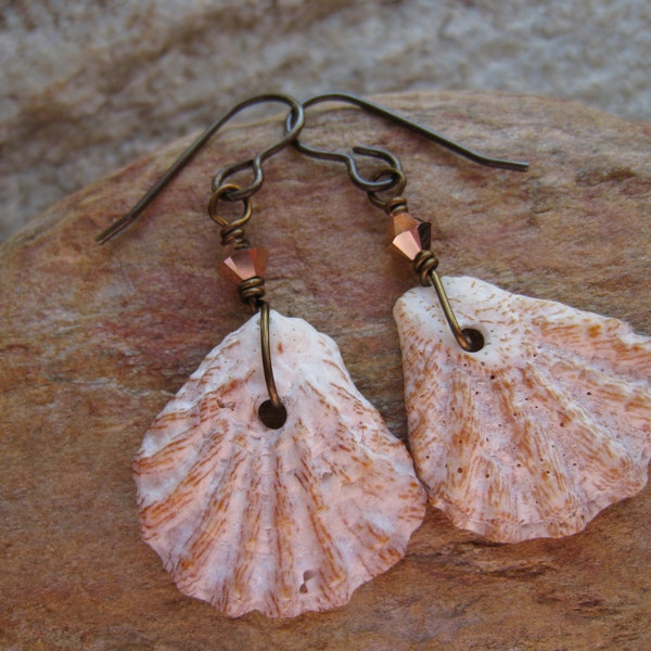 Sea Shell Earrings - Cat Paw Shell - Rose Gold Swarovski Crystal Earrings - Beach Accessories - Trending Earrings - Trending Jewelry