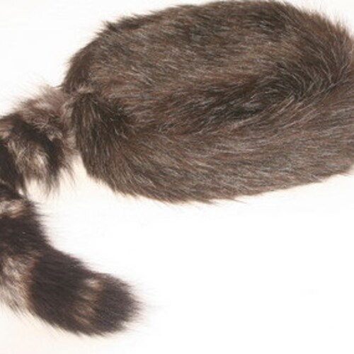 real coon skin cap