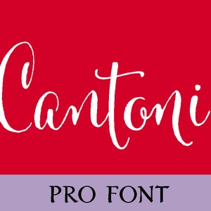Op de afbeelding: Witte cursieve lettertype op een rode achtergrond. Het lettertype zegt "Cantoni" en eronder staat "PRO FONT".