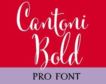 Cantoni Pro Bold Calligraphy Font