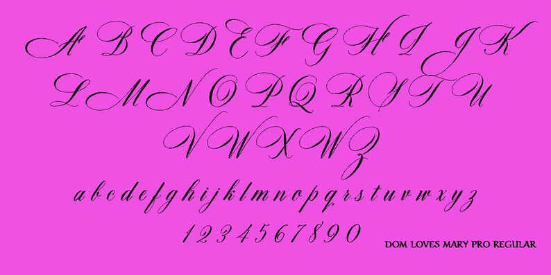 Dom Loves Mary Pro Calligraphy Font | Etsy