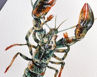 Lobster watercolour original - Ocean theme watercolourr illustration- Lobster original art